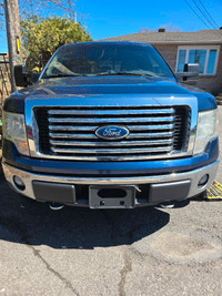 2011 Ford F150 Grill