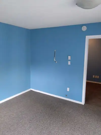 Indoor and outdoor painting service . Call or txt Randy 250-617-2711 I also do staining flooring and...
