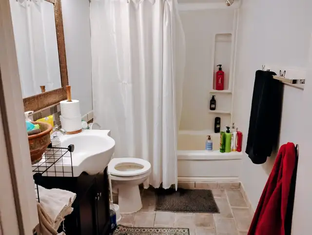 Looking for a stellar roommate