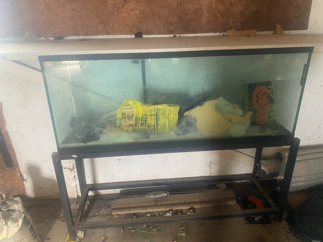 Fish tank and stand  in Animal & Pet Services in North Bay - Image 2