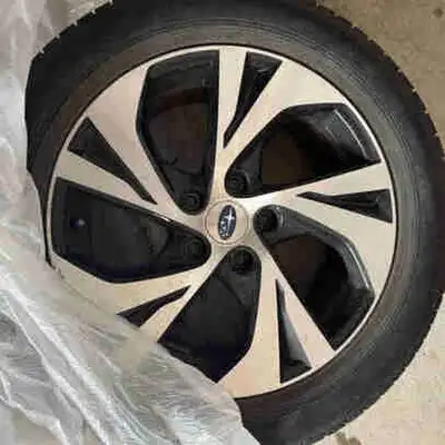 Set of all season tires and rims. Size 225/55R17.