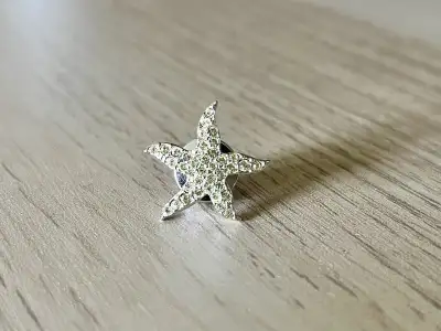 Swarovski Starfish Pin Brooch, View more