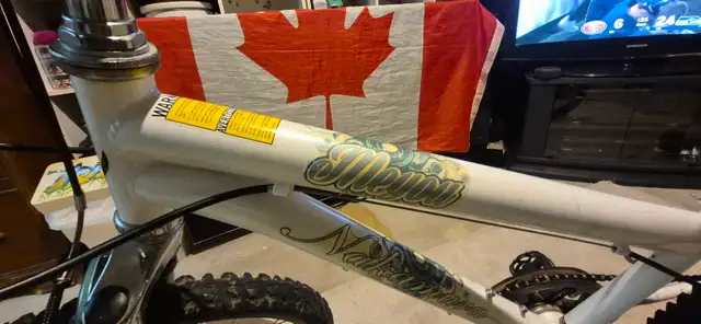 Youth Mountain Bike – Fully Tuned, Greased & Tuned Ready to Ride in Kids in London - Image 9