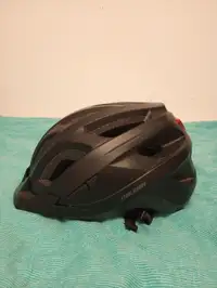 Raleigh (cycle helmet)