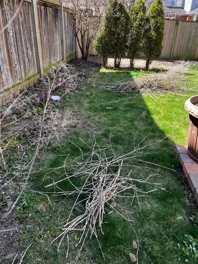 Cambridge and surrounding areas #1 fall cleanup services since 2020 Jobs we do, 1. Gutter cleaning 2...