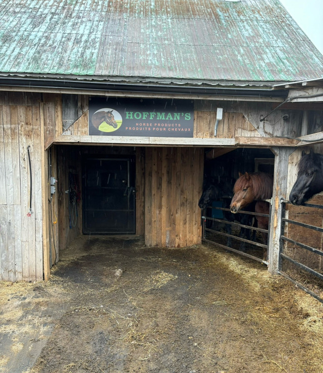 Pension pour chevaux  dans Services pour animaux  à Drummondville - Image 2