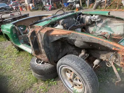 Body, mechanical, electrical and just about everything else available. Doors, hoods, trunk lids, win...