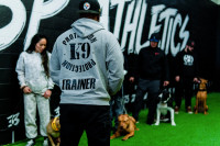 Professional Dog Training Services - Basic Obedience, Protection