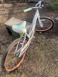 Newer Bicycle in great condition 