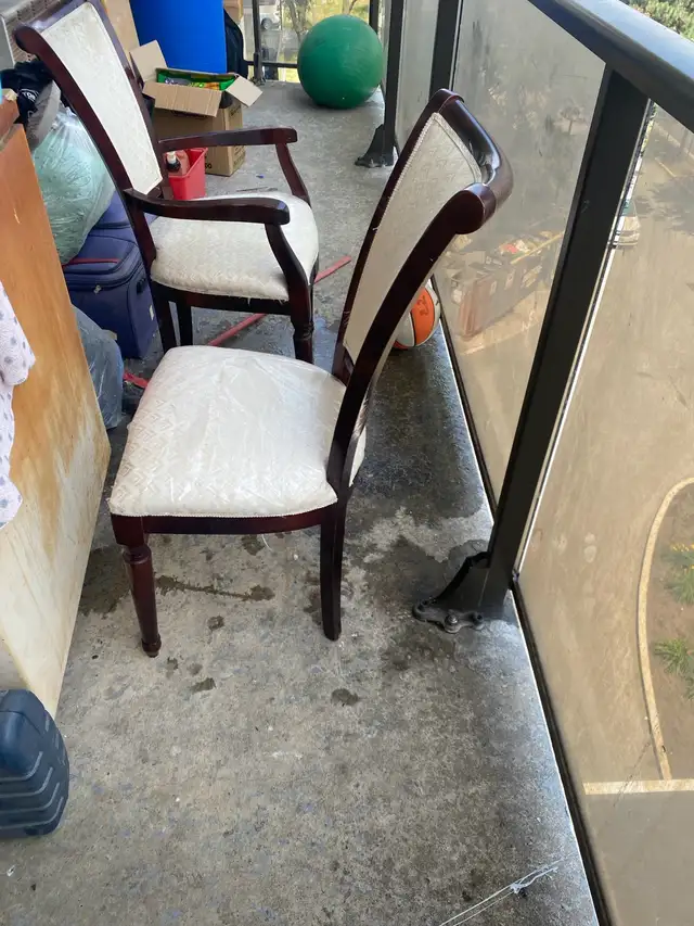 1 Elegant Dining Chairs63848995017603123