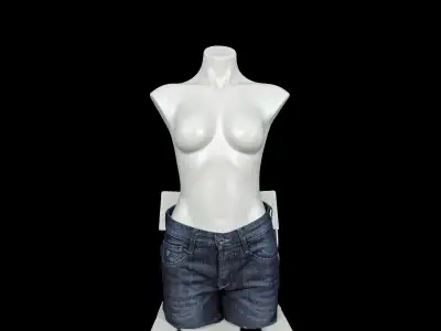 Mannequin - Female Torso, View more