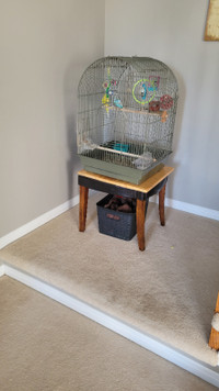 Budgies and cage for sale