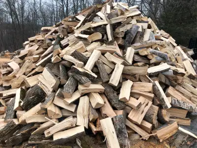 Cut split hardwood for sale. Cut in 16” lengths. $380/bush cord. Free delivery within 20km of Cavan....