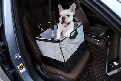 Amazon Basics Soft-Sided Pet Carrier / Car Seat, View more
