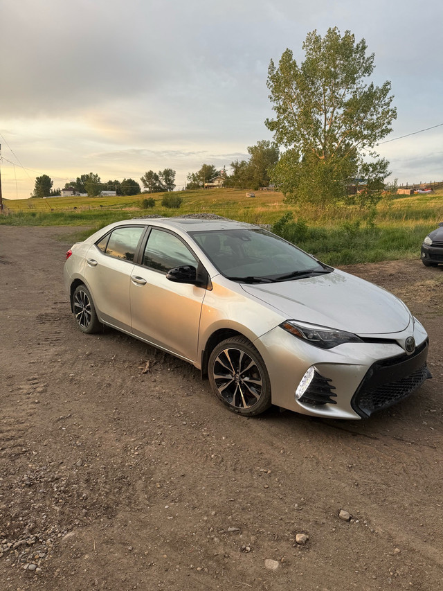 2019 Toyota Corolla in Cars & Trucks in Calgary - Image 2