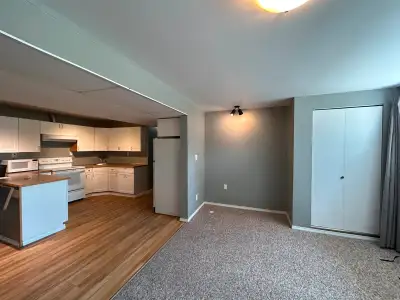 A large 2bedroom 1bathroom suite ( lower floor of a house) is available in the Mt. Dufferin area. Cl...
