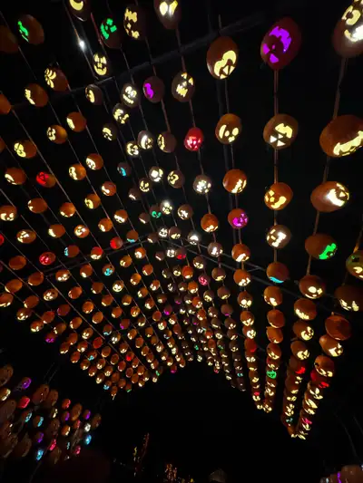 need ride from Milton to Brampton , View more