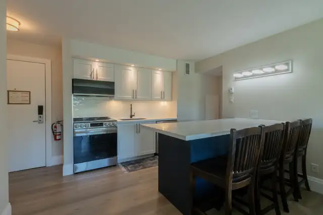 Newly Reno'd 1 bdrm Deerhurst Resort in Short Term Rentals in Muskoka - Image 6
