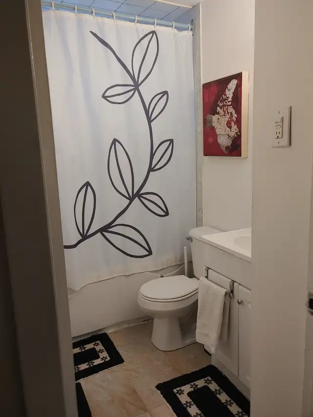 Room for rent in two bedroom apartment in Room Rentals & Roommates in Kitchener / Waterloo - Image 8