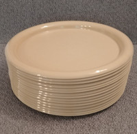 15 PLASTIC DINNER PLATES SAFE for Home or Cottage