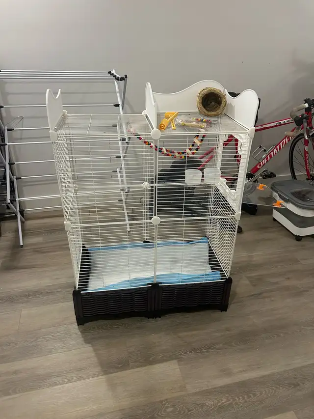 cage perroquet ‼️ urgent ‼️ négociable in Accessories in Lanaudière - Image 6