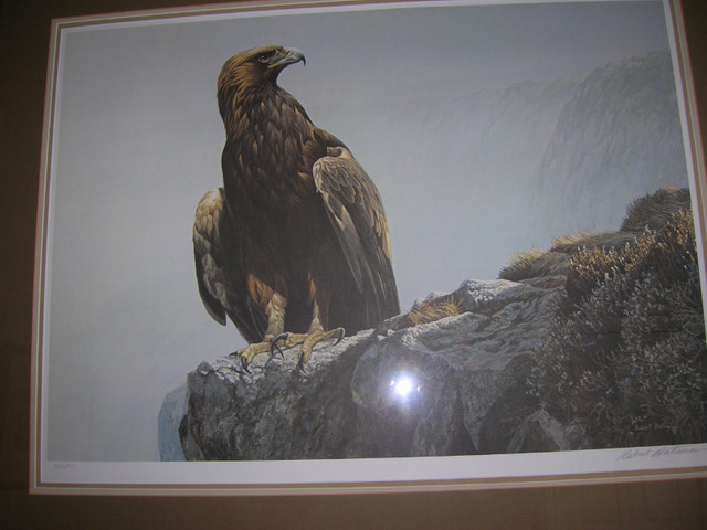 Robert Bateman Limited Edition Print in Arts & Collectibles in Kingston - Image 2
