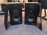 RW OLIVER 32-T TOWER SPEAKERS