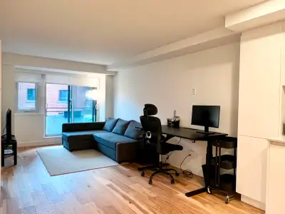 SUB-LEASE - Gorgeous 1 Bedroom + 1 Bath Condo -  Furnished