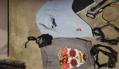 Dog items, View more