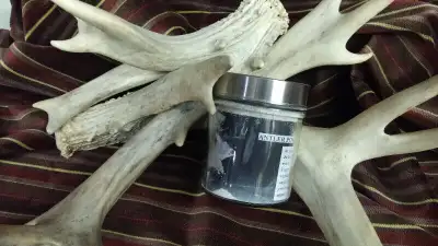 Our antler powder supplement comes only from shed antlers we have found in the wild. It is finely gr...
