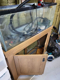 55 gallon aquarium. Fish tank