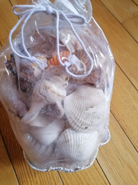NEW Decorative Seashells bag (Weight 1.6kg)