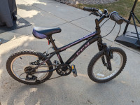 Unisex CCM Ruckus Kids' Bike, Black & Purple, 18-in wheels