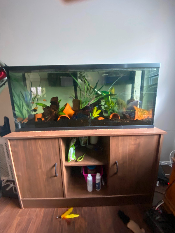 Fish tank 55 gal with stand in Accessories in Penticton