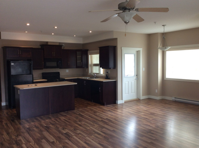 Beautiful 2 bedroom condo for rent in Summerland in Long Term Rentals in Penticton