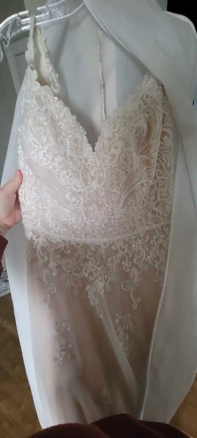 Plus Size Wedding Dress in Wedding in Cape Breton - Image 2