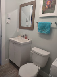 Vanity, mirror and towel bar