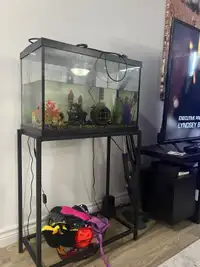 Big fish aquarium with stand and accessories 