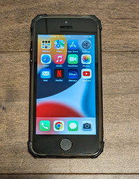 iPhone SE grey, unlocked, mint condition