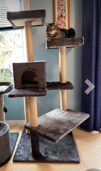 Cat tree, Automatic Self Cleaning Litter, Cat Carrier And More