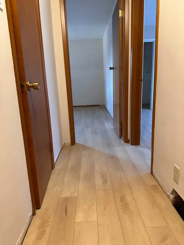 Floor Installation/Repairs559277763588280325