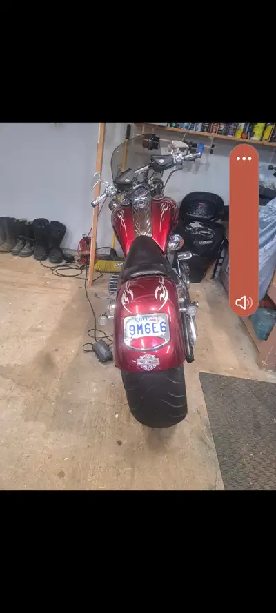 1997 harley softail 100% mint 240 mm rear tire custom paint stretch tank etc ove 30 k invested over...