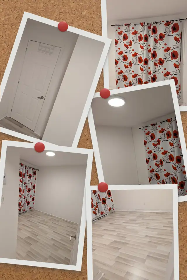Chambre à louer - colocation in Room Rentals & Roommates in Longueuil / South Shore - Image 2