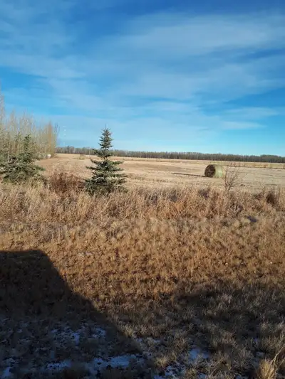 I have 2 lots for sale 2.25 miles south of Westlock, gas is at property line, power is across the rd...