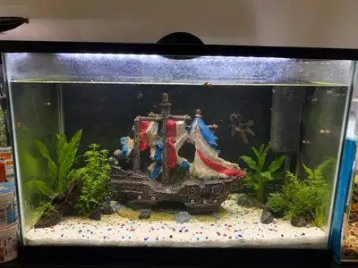 20 gallon fish tank for sale light,heater,1 filter and proper lid (top fin brand) white sand as in p...
