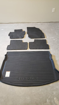 2010-2013 Mazda 3 all weather floor mats and cargo mat.