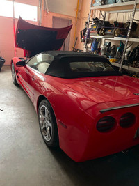 1999 Corvette