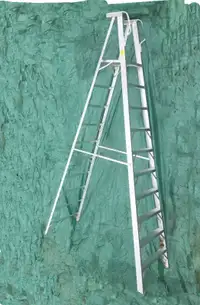 12' Aluminum step ladder