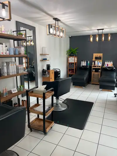 coiffeuse avec Experience travail avec autonomie et ton horaire dans un Salon etablie pres du Carref...