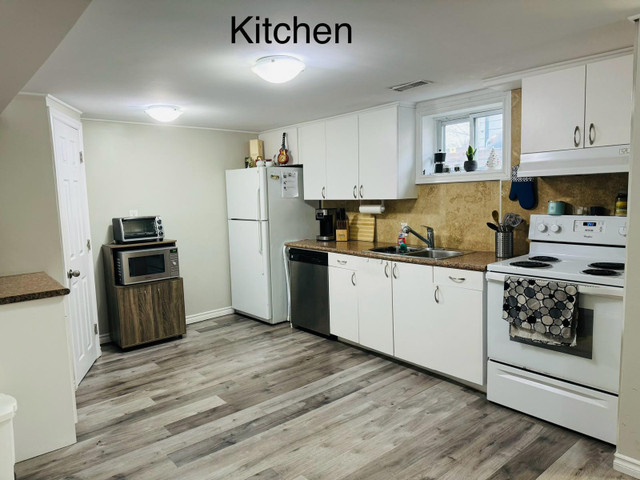 3 Bedroom Walkout Basement in Long Term Rentals in Oshawa / Durham Region